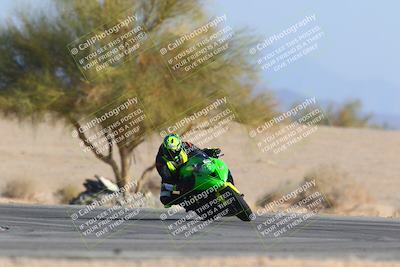 media/Jan-14-2024-SoCal Trackdays (Sun) [[2e55ec21a6]]/Turn 4 Tree of Life (155pm)/